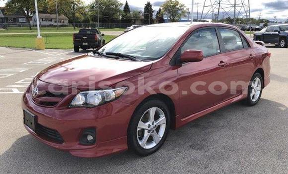 Buy Used Toyota Corolla Red Car in Kigali in Rwanda Buy Used Toyota Corolla Red Car in Kigali in Rwanda