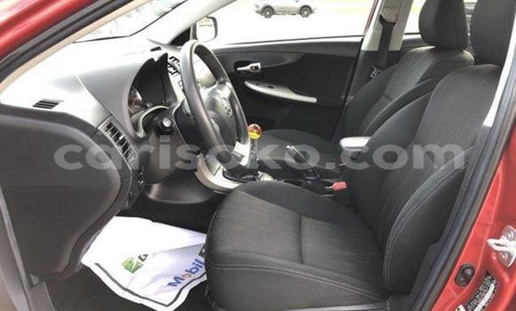 Buy Used Toyota Corolla Red Car in Kigali in Rwanda Buy Used Toyota Corolla Red Car in Kigali in Rwanda