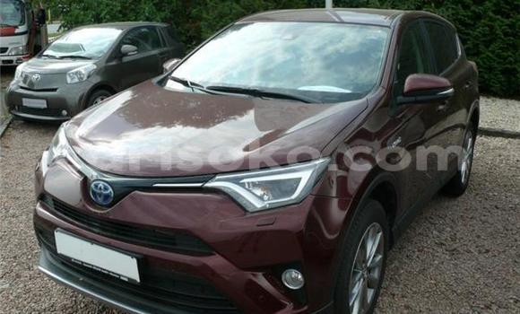Buy Used Toyota RAV4 Brown Car in Kigali in Rwanda Buy Used Toyota RAV4 Brown Car in Kigali in Rwanda