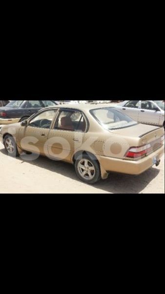 Big with watermark 13413547 959206940863659 7327440485723394379 n