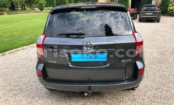 Buy Used Toyota RAV4 Beige Car in Kigali in Rwanda Buy Used Toyota RAV4 Beige Car in Kigali in Rwanda