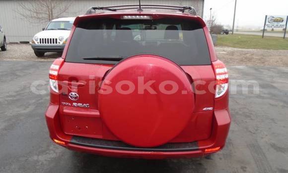 Buy Used Toyota RAV4 Red Car in Kigali in Rwanda Buy Used Toyota RAV4 Red Car in Kigali in Rwanda