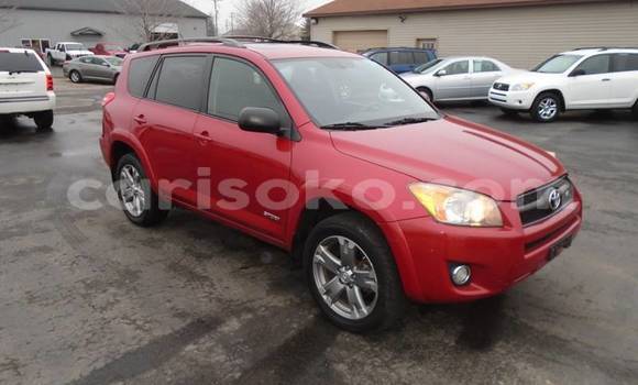Buy Used Toyota RAV4 Red Car in Kigali in Rwanda Buy Used Toyota RAV4 Red Car in Kigali in Rwanda