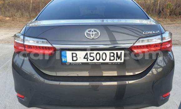 Buy Used Toyota Corolla II Other Car in Kigali in Rwanda Buy Used Toyota Corolla II Other Car in Kigali in Rwanda