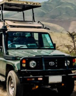 Thumb screenshot 2026 01 16 163522